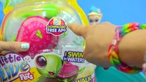 Disney Frozen Queen Elsa & Barbie Doll Swim In Water Pool with Little Live Pets Sea Turtles