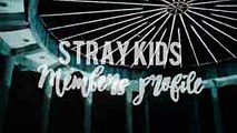 Stray Kids  Member profile; Hellevator (MV)