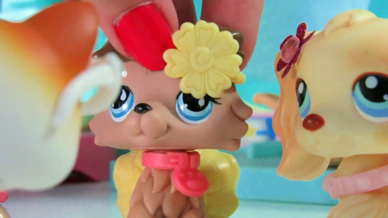 LPS: Killer Collie (Halloween Special)