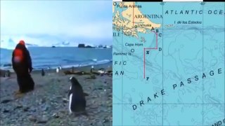 Global Elites Secret Trips To Antarctica