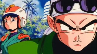 How did Videl fall in love with Gohan?