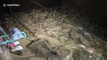 Archaeologists find four ancient royal 'limousines' in central China