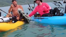Ces pêcheurs luttent pour remonter un poisson trop gros pour leurs canoes kayak !