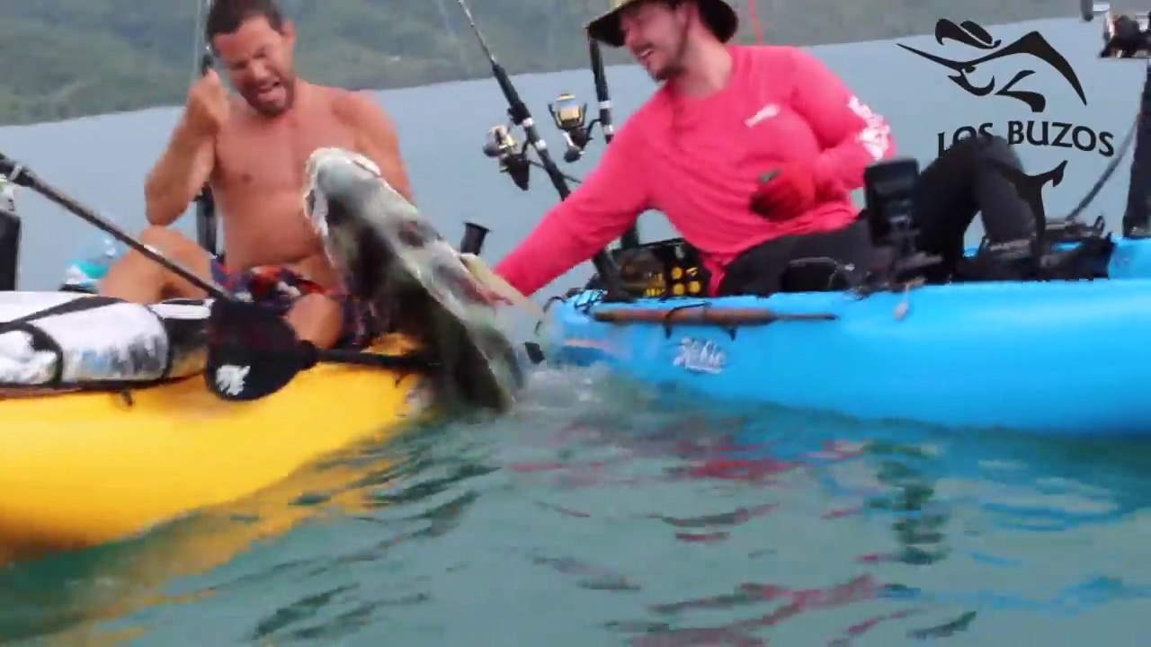 Ces pêcheurs luttent pour remonter un poisson trop gros pour leurs canoes kayak !