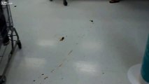 Un inconnu chie sur des mètres dans un supermarché Walmart !