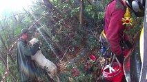Italian Firefighters Use Harness to Rescue Dog From Crevasse