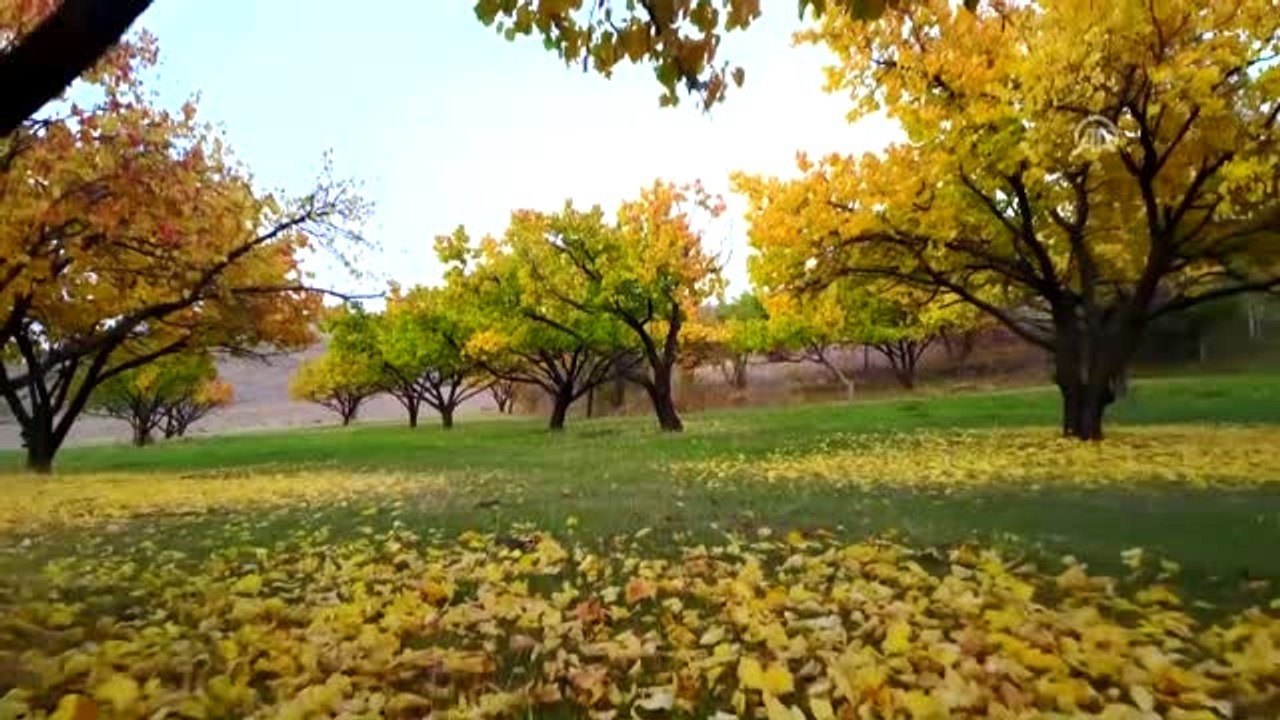 Iğdır'da Sonbahar