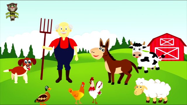 Ali Babanın Bir Çiftliği | Kırmızı Balık | Arı Vız Vız | Tom Kedi Çocuk Şarkısı