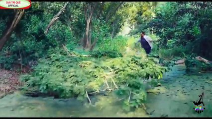 Sát Phá Lang 3| Phim hành động mới nhất [ phần cuối ] [ Tony Jaa và Cổ Thiên Lạc]