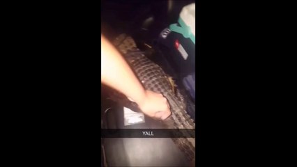 Ils pensaient que ce crocodile etait mort...