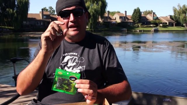 Best Baits to Catch Panfish | Lucky Tackle Box