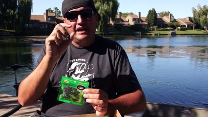 Best Baits to Catch Panfish | Lucky Tackle Box