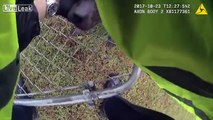 Greenville County Sheriff's Officer rescues a dog trapped in a fence