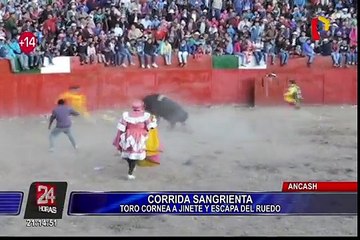 Ancash: toro cornea a jinete dejándolo gravemente herido y luego escapa de ruedo