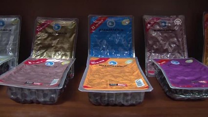 Gemlik Zeytini" Katar Yolcusu