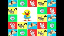 Pet animal ivity and song for children full Educational video for babies and toddlers