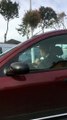 Irishman Passes Time in Traffic by Practicing Tin Whistle