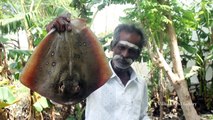 Stingray Fish banana leaves cooking in my village / Seafood / Village food fory