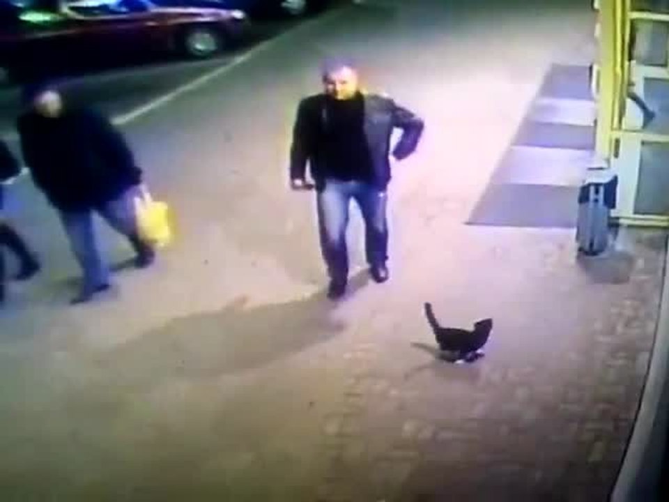 Cop Fired After Video Captures Him Kicking A Cat