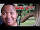 Funny videos ⁄ Funny Magic Vines⁄ Try Not to LAUGH ⁄ Stupid People Doing Stupid Things