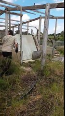 Il attrape 2 serpents en pleine reproduction dans le jardin !