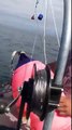 Un Orque se frotte à un bateau de plaisance !!