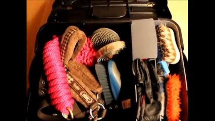 Ma boite de pansage (GB700) 2 !