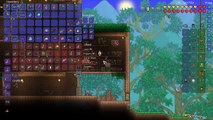 Terraria 1.3 Lets Play - Fishing Class Playthrough! DUKES DEMIZE. [15] PC Gameplay