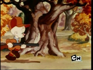 The Wild Hare (US Dubbed Version)