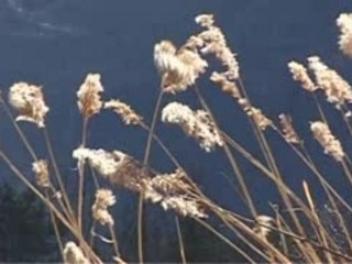INAUGURATION DE L'ORGUE DE MOUTIERS part 2