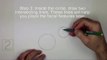 How to Draw a Frog (American Green Tree Frog)