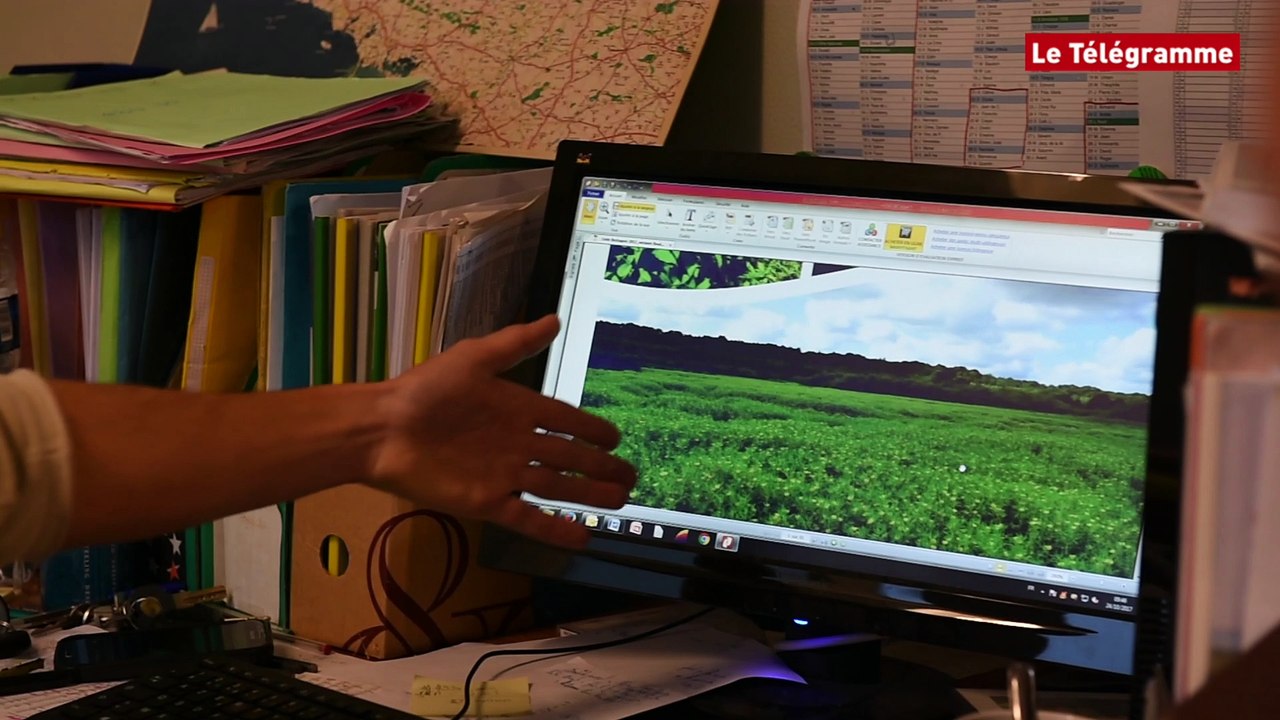 Plantes. Des envahisseuses exotiques !