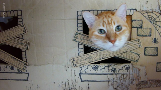 Halloween Haunted Cat House Makeover