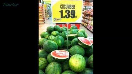 You Had One Job And Failed Miserably Funny Fails ✔