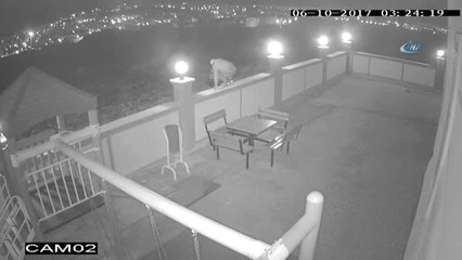 Maskeli Hırsızlar Güvenlik Kamerasında