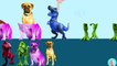 Learn Colors with Colorful Dogs Squishy Bad Dinosaur wrong colors Funny Cartoons for Kids, Toddlers,