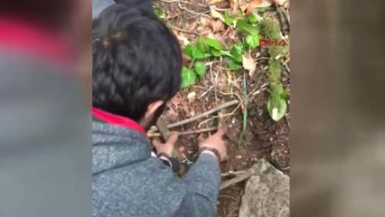 Giresun'da Yakalanan PKK'lı Terörist, Arazide Yaşam Koşullarını Anlattı