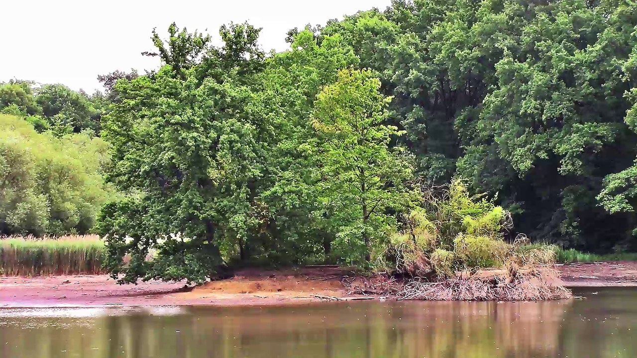 Zu Besuch in der Wahner Heide – Scheuermühlenteich