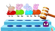 Peppa Pig Mummy Pig Pregnant with George Finger Family Song Nursery Rhymes for Kids Toddlers