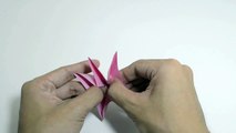 Origami Cherry Blossom - Hoa Anh đào (Hoang Tien Quyet)