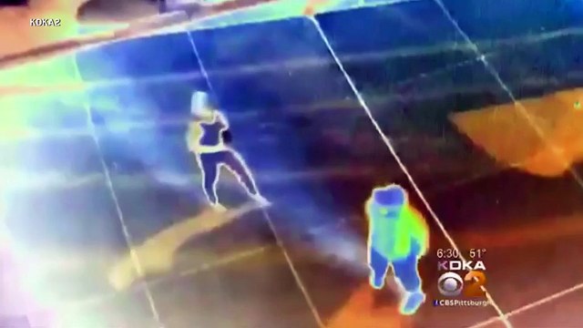 Woman gets knocked out, witnesses rob her and take selfies