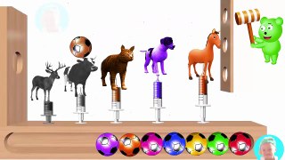 Animals For childrens Learn Colors With WOODEN FACE HAMMER XYLOPHONE jingle bells song for kids colo