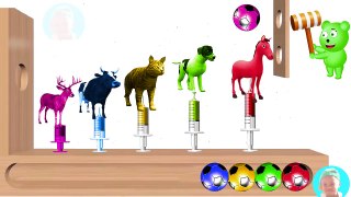 Learn Colors With Animals Syringe For Kids Babies Learn Colors With Animals Painting