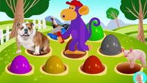 Farm Animals Colors Surprise Eggs Pig Sheep Horse Wooden Hammer Monkey Learn Colors farm animals car