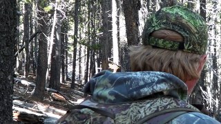 Colorado Archery Elk! Woah 5 yards! Short Video!