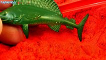 Learn Sea Animals Names Toys Red Kinetic Sand Playtime Learning Educational Video Toddlers Children