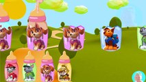 Paw Patrol Baby Bottle Wrong Heads, Learn Colors with Paw Patrol Baby CHASE