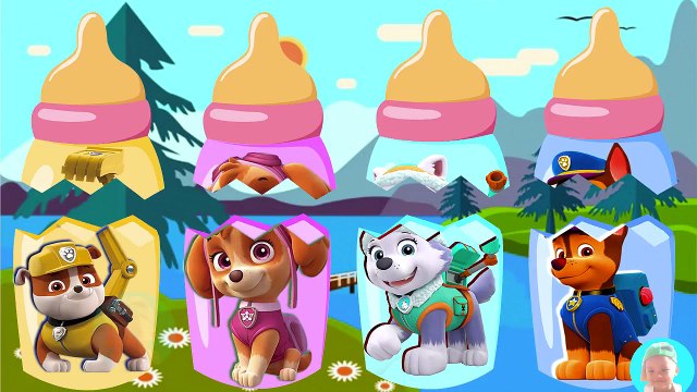 Wrong Heads Finger Family Song Paw Patrol Wrong Eeads Bad Baby Bottle Milk