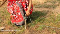Incredible Girl Catch Village Snake Using Hand And Tools / How To Catch Village Snake In My Village