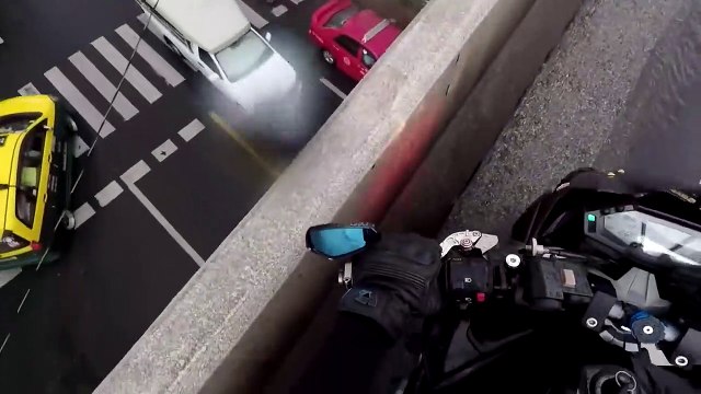 Motorista salva gatito de ser atropellado